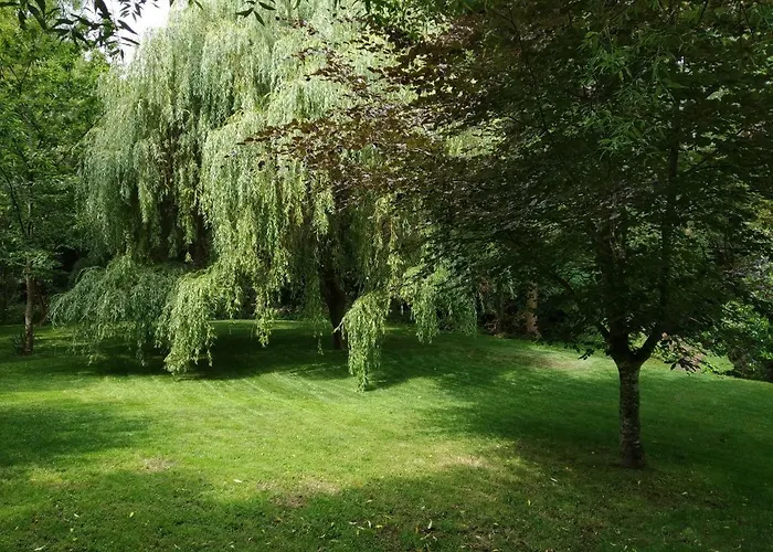 大金塔奥加庄园spa酒店 酒店 4*